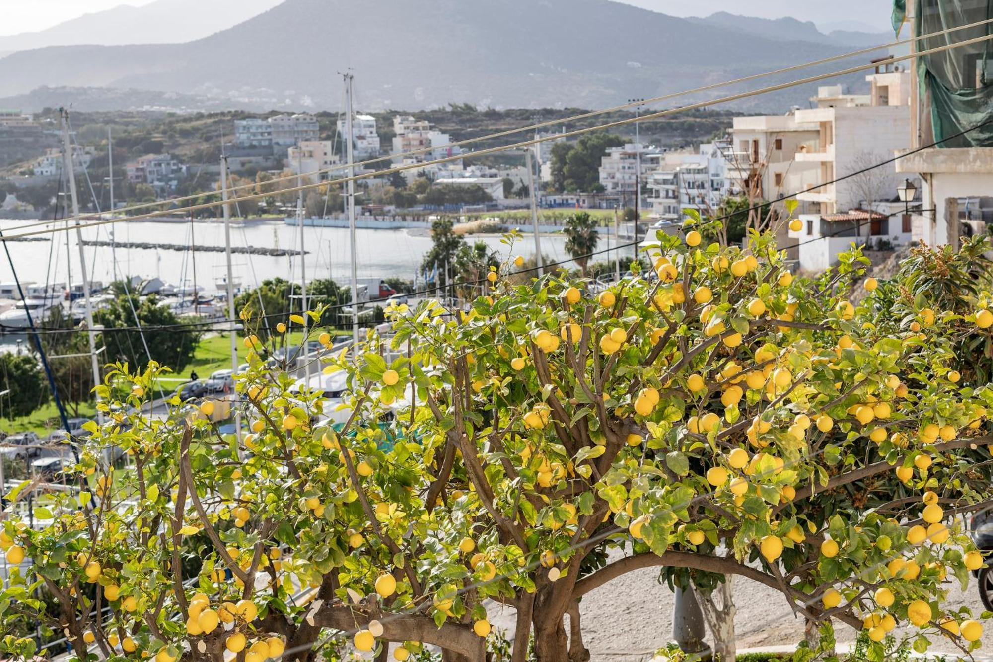 Jelena Apartments By The Sea Agios Nikolaos Exteriör bild